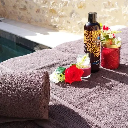 Villa Le Patio D'arlou & - Relaxant Et Romantique